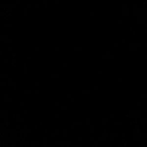 Meet your Posher, Dylan